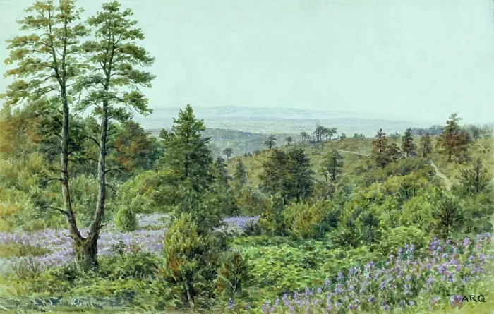 Framed Print : Rural scene, Hindhead, Surrey Framed Print : Rural scene, Hindhead, Surrey