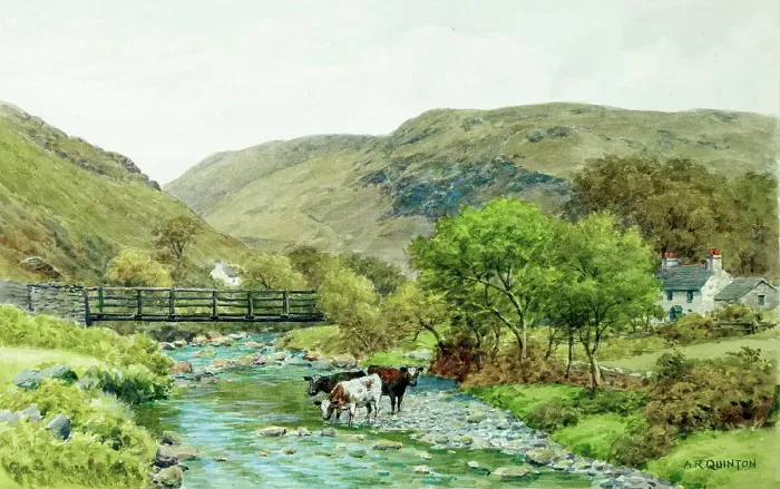 Framed Print : Rural scene, Isle of Man