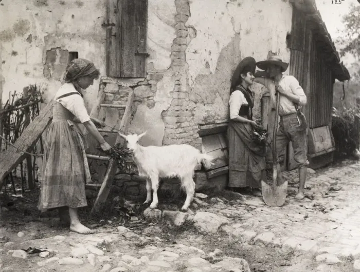 Framed Print : Rural scene, Italy - young amorous couple, girl feeding goat Framed Print : Rural scene, Italy - young amorous couple, girl feeding goat