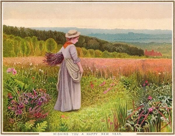 Rural scene in summer on a New Year card
