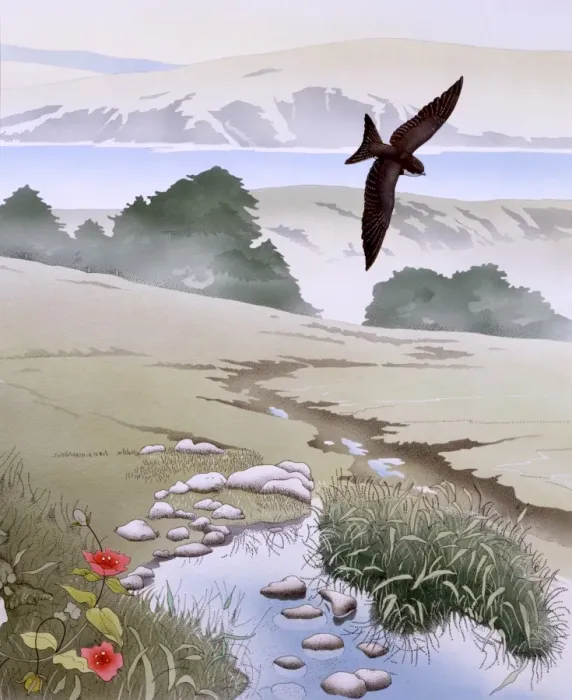 Framed Print : Rural scene with swallow and stream Framed Print : Rural scene with swallow and stream