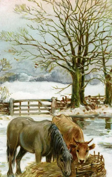 Framed Print : Rural winter scene Framed Print : Rural winter scene