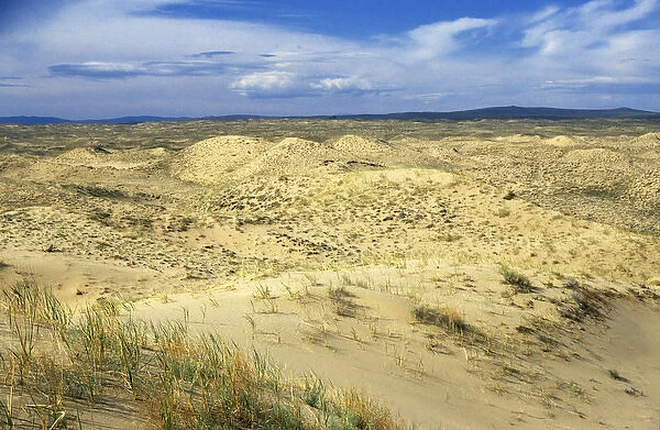 Russia - dunes of Tsuger-Als Sands: ancient alluvial