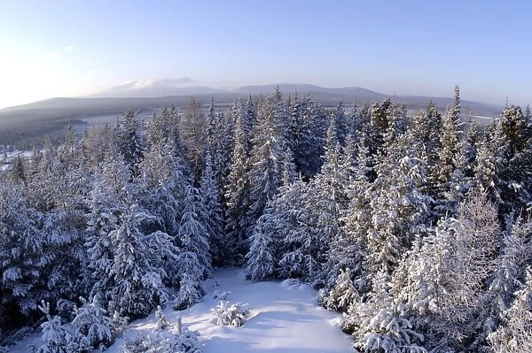 Russia; midwinter, December. The view is towards