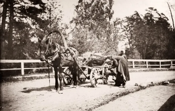 Framed Print : Russia - Russian horse drawn wagon carrying timber Framed Print : Russia - Russian horse drawn wagon carrying timber