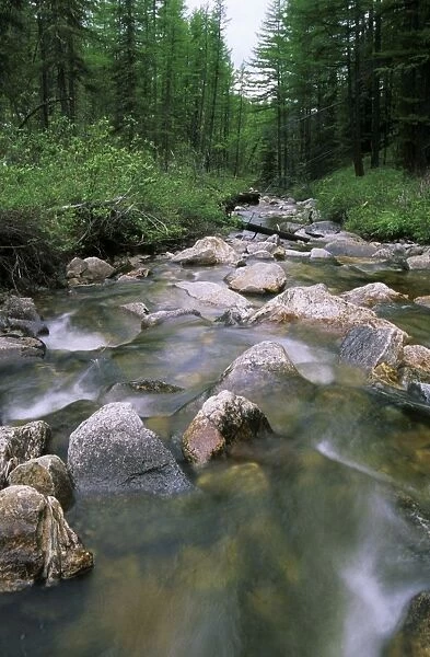 Russia - a typical small river in taiga-forest