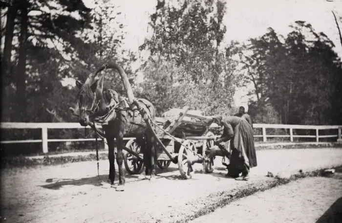 Framed Print : Russian country wagon, cart, and horse, Russia Framed Print : Russian country wagon, cart, and horse, Russia