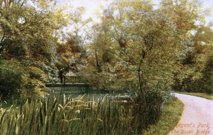 Framed Print : Rustic Bridge, Regents Park, London Framed Print : Rustic Bridge, Regents Park, London