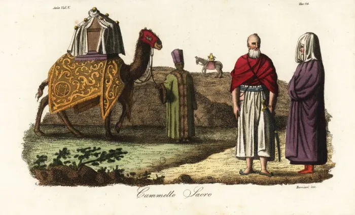 Framed Print : Sacred camel decked out for the pilgrimage to Mecca Framed Print : Sacred camel decked out for the pilgrimage to Mecca