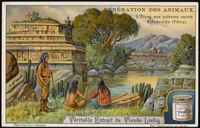 Framed Print : Sacred Fish, Peru