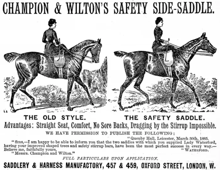 Framed Print : Safety saddle Framed Print : Safety saddle