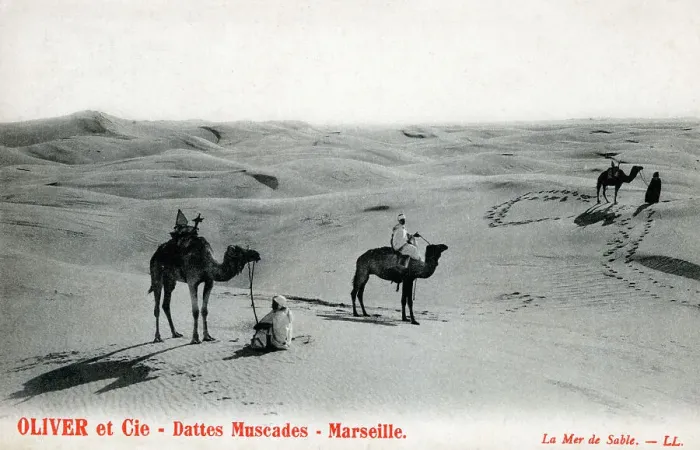 Framed Print : Saharan Bedouins - North Africa Framed Print : Saharan Bedouins - North Africa