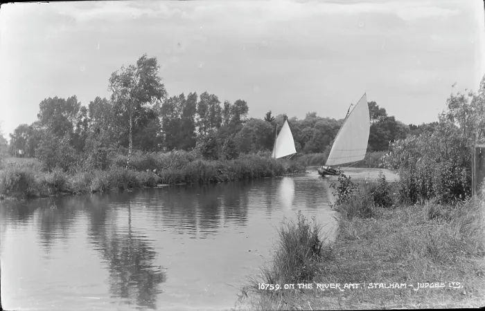 Framed Print : Sailing on the River Ant Framed Print : Sailing on the River Ant