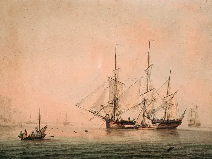 Framed Print : Sailing Ships Framed Print : Sailing Ships