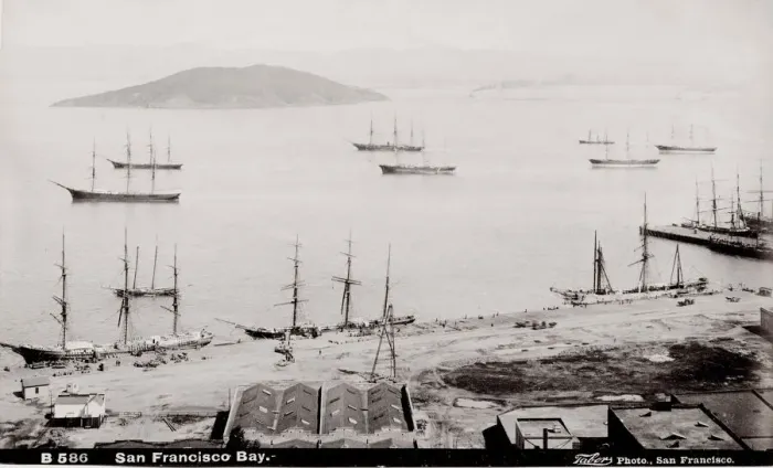 Framed Print : Sailing ships in San Francisco Bay, California, USA