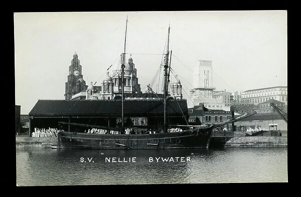 Sailing vessel Nellie Bywater