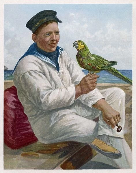 Sailor and Parrot