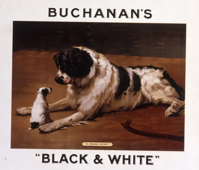 Framed Print : Saint Bernard dog with puppy, Buchanans Whisky Framed Print : Saint Bernard dog with puppy, Buchanans Whisky
