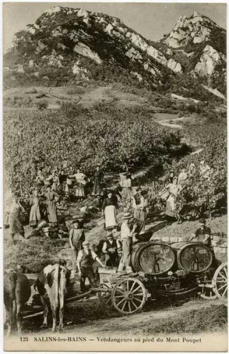 Framed Print : Salins-les-Bains - Grape Harvest at the foot of Mount Poupet Framed Print : Salins-les-Bains - Grape Harvest at the foot of Mount Poupet