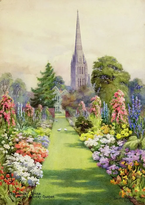 Framed Print : Salisbury Cathedral from the Canonry Garden, Wiltshire Framed Print : Salisbury Cathedral from the Canonry Garden, Wiltshire