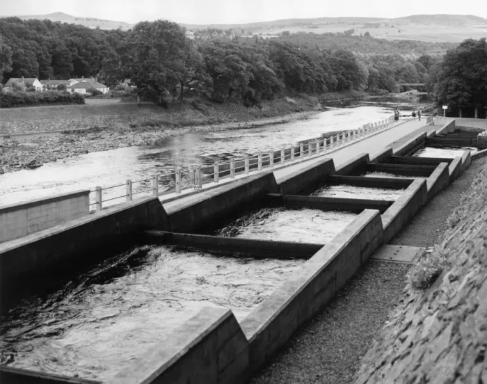 Framed Print : Salmon Fish Ladder Framed Print : Salmon Fish Ladder