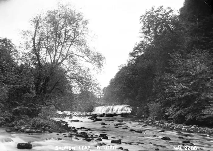 Framed Print : Salmon Leap, R. Liffey Framed Print : Salmon Leap, R. Liffey