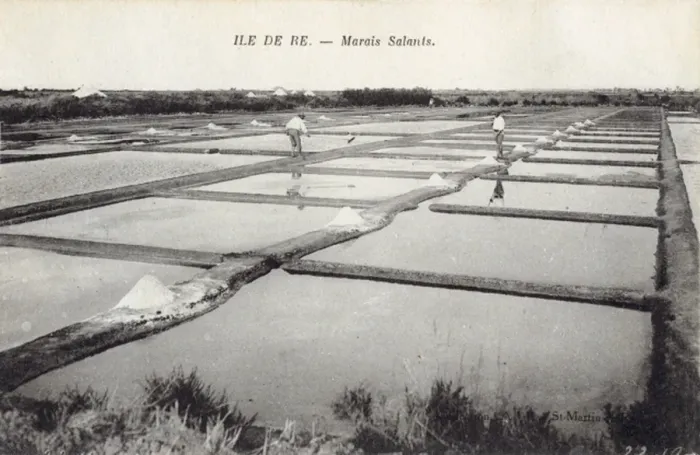 Framed Print : Salt on Ile De Re Framed Print : Salt on Ile De Re