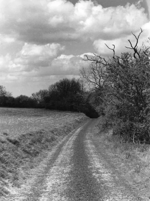 Framed Print : Salters Way Framed Print : Salters Way