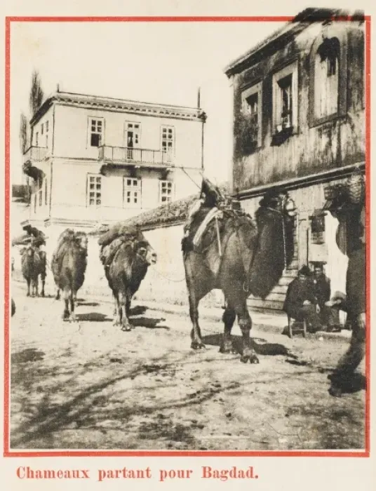 Framed Print : Samsun - Camel train leaves for Baghdad Framed Print : Samsun - Camel train leaves for Baghdad
