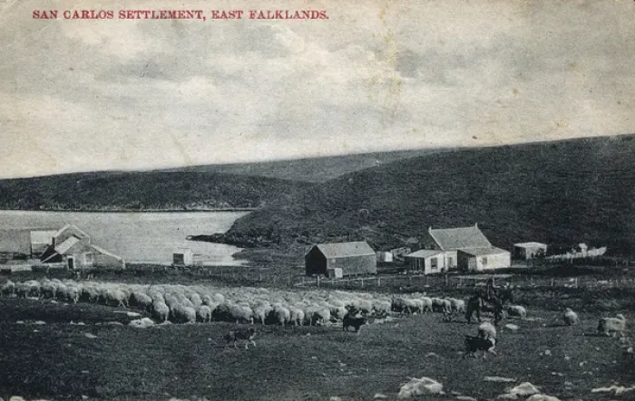 Framed Print : San Carlos Settlement, East Falklands Framed Print : San Carlos Settlement, East Falklands