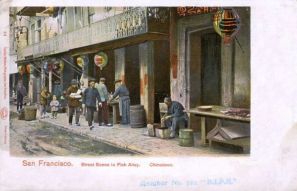 San Francisco, California, USA - Chinatown, Fish Alley