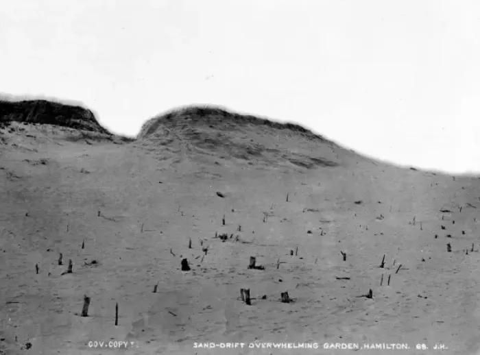 Framed Print : Sand drift overwhelming a garden, Burmuda 1873 Framed Print : Sand drift overwhelming a garden, Burmuda 1873