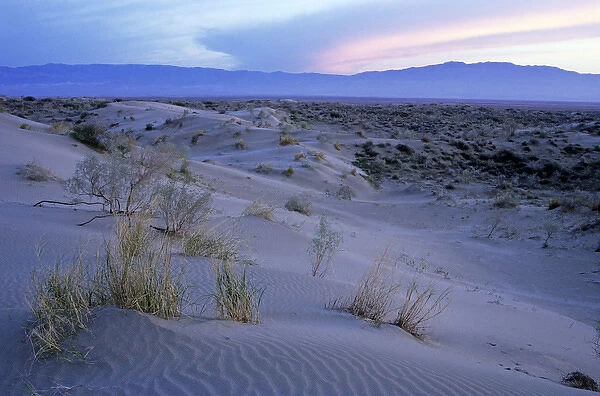 Sand dunes of Karakum desert - sunset