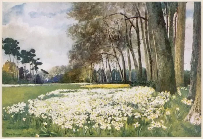 Framed Print : Sandringham / Park 1916 Framed Print : Sandringham / Park 1916