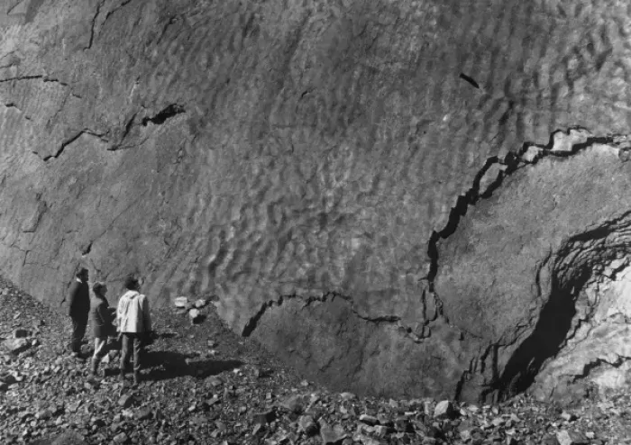 Framed Print : Sandstone. Fossilised water ripple marks preserved in sandstone Framed Print : Sandstone. Fossilised water ripple marks preserved in sandstone