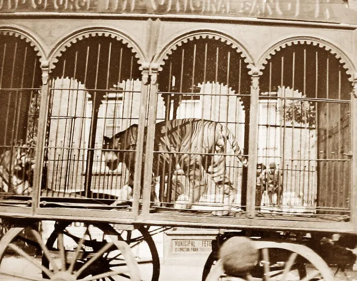 Framed Print : Sangers Circus parade Framed Print : Sangers Circus parade