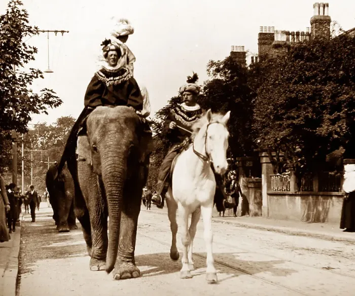 Framed Print : Sanger's Circus parade / procession, early 1900s Framed Print : Sanger's Circus parade / procession, early 1900s