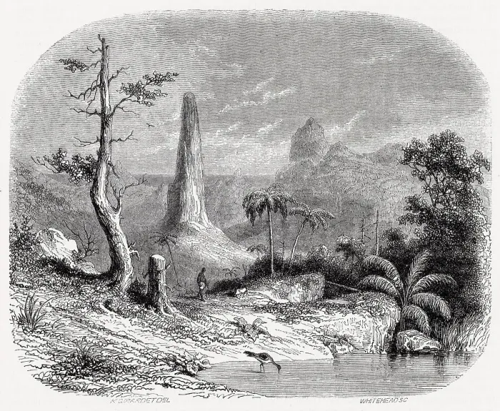 Framed Print : Sao Tome & Principe, a West African island republic: typical landscape Date: 1853 Framed Print : Sao Tome & Principe, a West African island republic: typical landscape Date: 1853