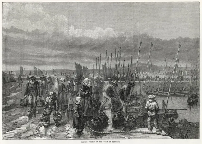 Framed Print : Sardine fishery at Brittany 1871 Framed Print : Sardine fishery at Brittany 1871