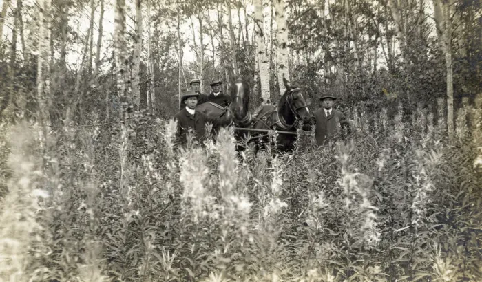 Framed Print : Saskatchewan, Canada - four men with buggy Framed Print : Saskatchewan, Canada - four men with buggy