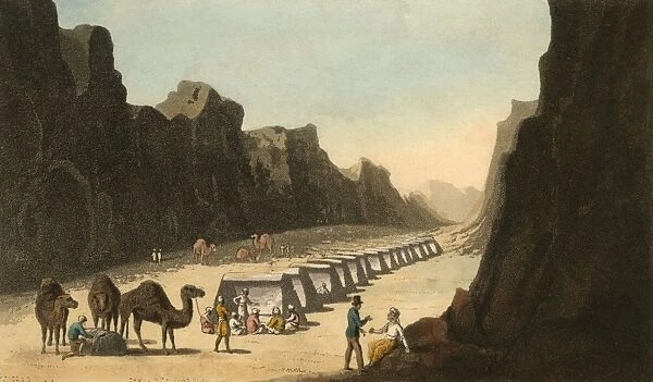 Saudi Arabia  /  Camp 1830