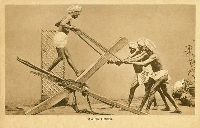 Framed Print : Sawing Timber - India Framed Print : Sawing Timber - India