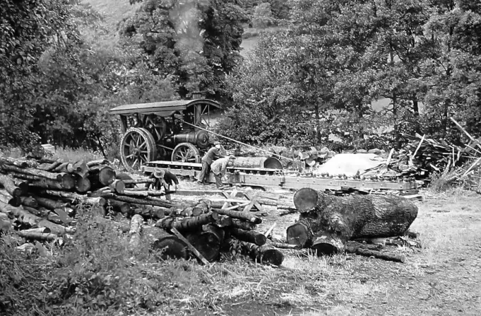 Framed Print : A sawmill powered by traction engine, hand coloured photo Framed Print : A sawmill powered by traction engine, hand coloured photo