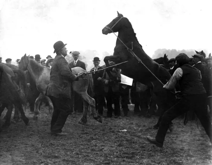 Framed Print : Scene at Barnet Horse Fair, North London Framed Print : Scene at Barnet Horse Fair, North London