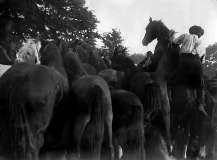 Framed Print : Scene at Barnet Horse Fair, North London Framed Print : Scene at Barnet Horse Fair, North London