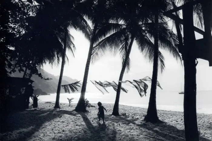 Framed Print : Scene on a beach, Tobago, West Indies Framed Print : Scene on a beach, Tobago, West Indies