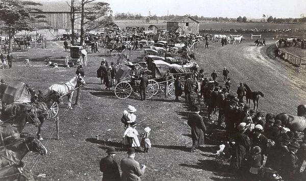 Scene at a busy country racecourse