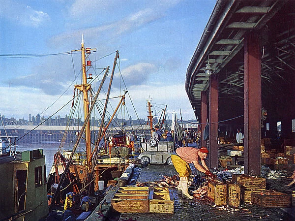 Scene in the harbour, Aberdeen, Scotland