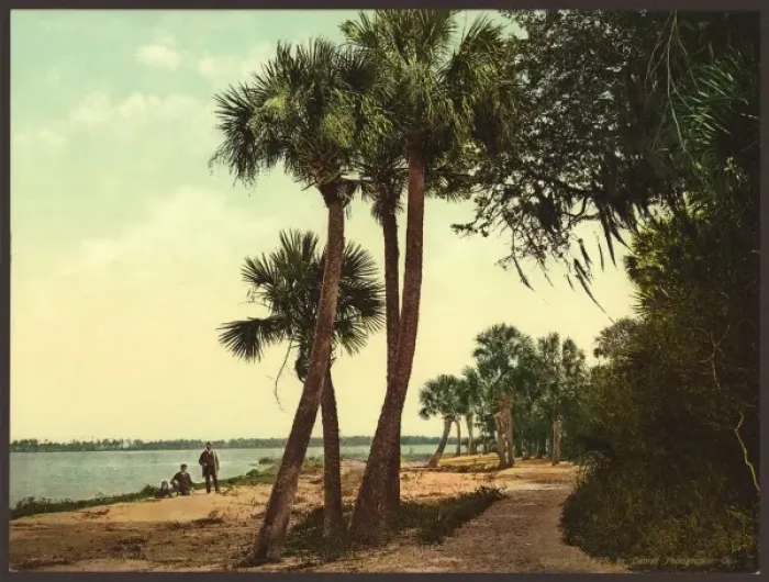 Framed Print : Scene; Indian River, Florida Framed Print : Scene; Indian River, Florida
