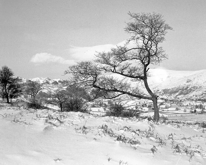 Framed Print : Scene of the Lake District Framed Print : Scene of the Lake District